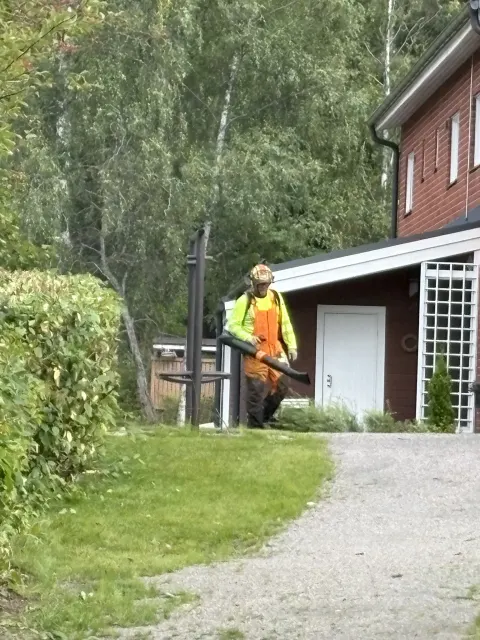 Metsuri kantaa lehtipuhallinta pihapolulla leikkuujätteen siivoamiseksi