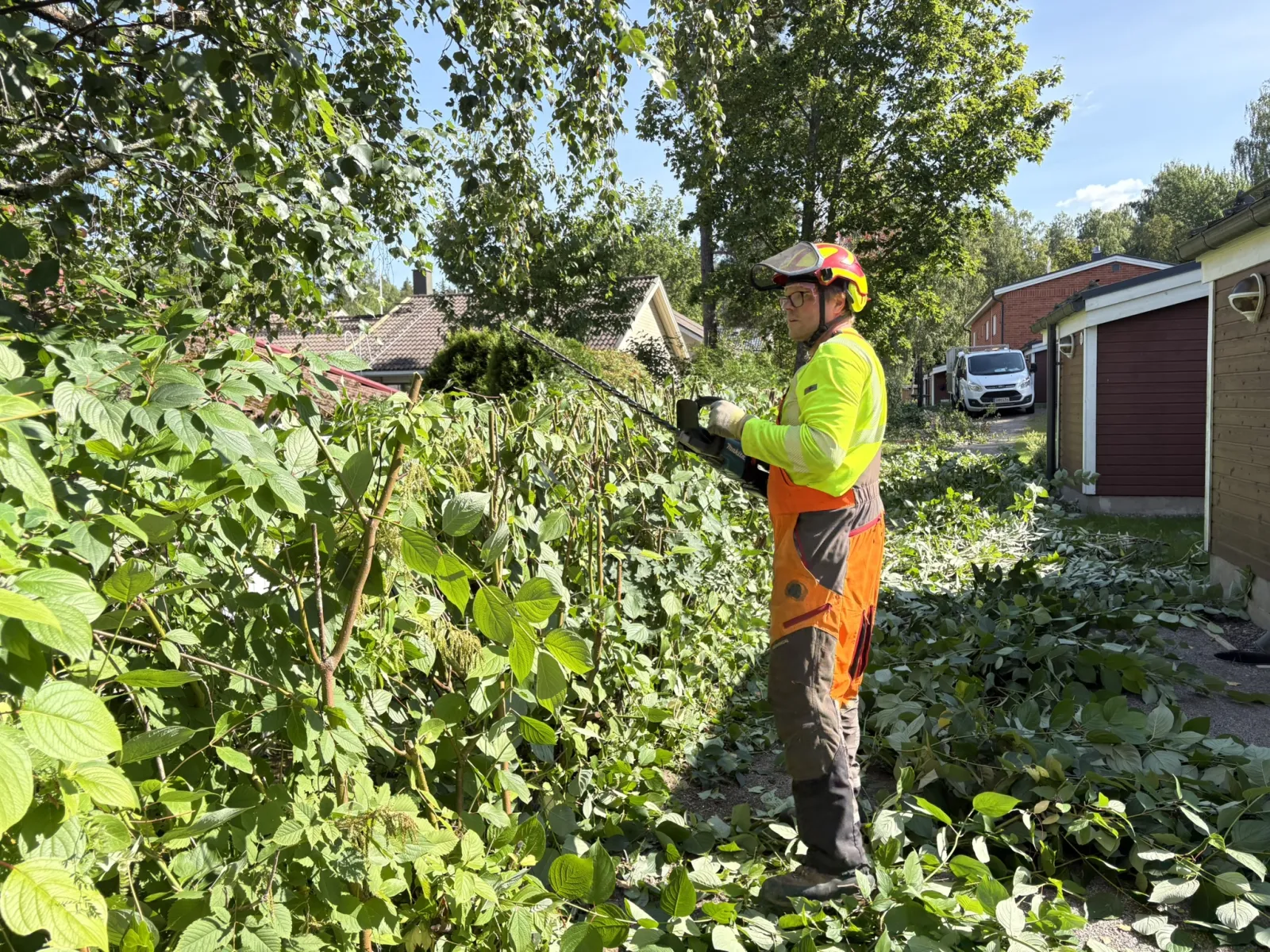 Metsuri seisoo pensasaidan vieressä pitkävartisen pensasleikkurin kanssa