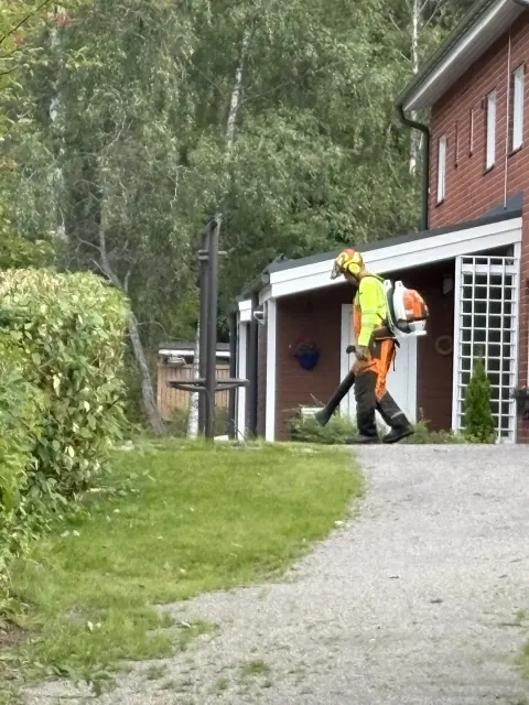 Metsuri siistii työaluetta lehtipuhaltimella kaadon yhteydessä